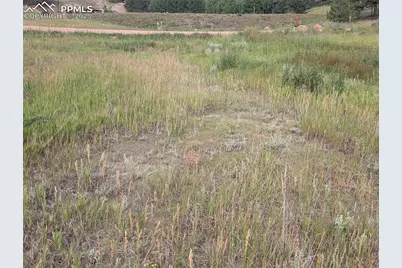 1379 S Mountain Estates Road, Florissant, CO 80816 - Photo 25