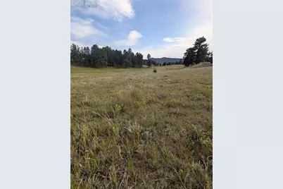 1379 S Mountain Estates Road, Florissant, CO 80816 - Photo 19