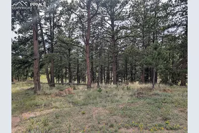 1379 S Mountain Estates Road, Florissant, CO 80816 - Photo 5