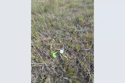 1379 S Mountain Estates Road, Florissant, CO 80816 - Photo 21