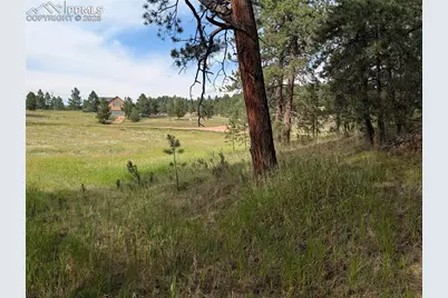 1379 S Mountain Estates Road, Florissant, CO 80816 - Photo 13