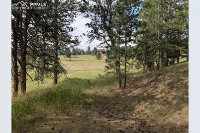 1379 S Mountain Estates Road, Florissant, CO 80816 - Photo 11