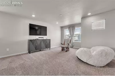 9735 Cronin Street, Fountain, CO 80817 - Photo 19