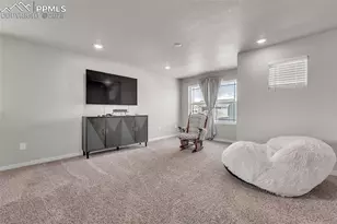 9735 Cronin St, Fountain, CO 80817 - Photo 19