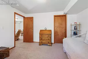 82 Apache Creek Dr, Florissant, CO 80816 - Photo 19