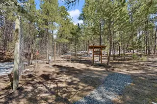 15805 Fool's Gold Ln, Colorado Springs, CO 80921 - Photo 41