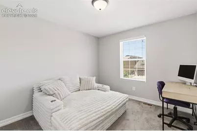 6667 Cottonwood Tree Drive, Colorado Springs, CO 80927 - Photo 27