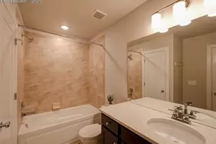 10021 Green Thicket Grv, Colorado Springs, CO 80924 - Photo 25