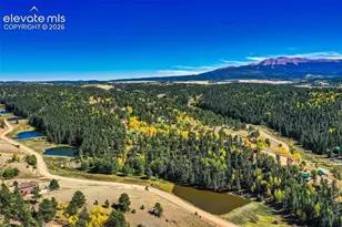 124 Cradle Lake Dr, Divide, CO 80814 - Photo 45