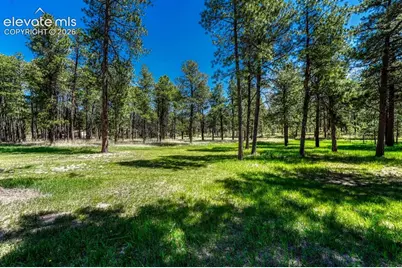 6350 Vessey Road, Colorado Springs, CO 80908 - Photo 39