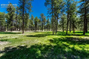 6350 Vessey Rd, Colorado Springs, CO 80908 - Photo 39
