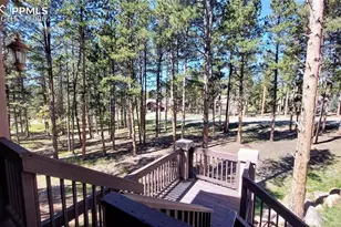 1020 Parkway Ln, Woodland Park, CO 80863 - Photo 27