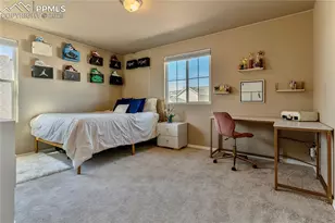 9767 Wolf Lake Drive, Colorado Springs, CO 80924 - Photo 19