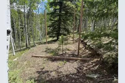 7142 County Road 92, Lake George, CO 80827 - Photo 5