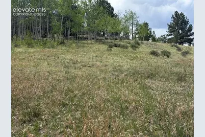 7142 County Road 92, Lake George, CO 80827 - Photo 9