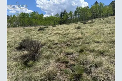 7142 County Road 92, Lake George, CO 80827 - Photo 3