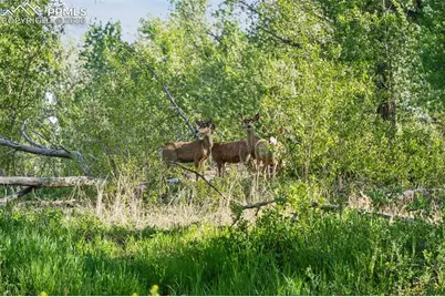 16990 Old Pueblo Road, Fountain, CO 80817 - Photo 45