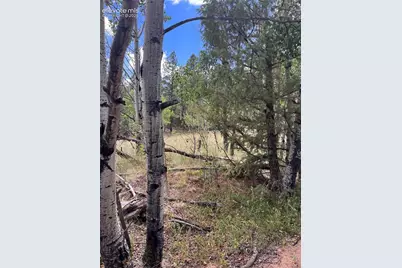 506 Castle Mountain Drive, Guffey, CO 80820 - Photo 5