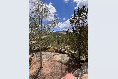 506 Castle Mountain Drive, Guffey, CO 80820 - Photo 13