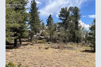 506 Castle Mountain Drive, Guffey, CO 80820 - Photo 9