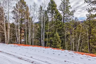 1181 Calcite Dr, Divide, CO 80814 - Photo 1