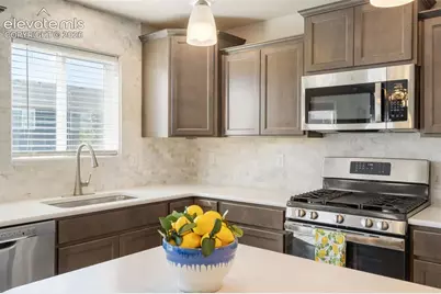 8293 Lodge Grass Way, Colorado Springs, CO 80908 - Photo 19