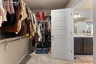 6937 Green Stalk Cir, Colorado Springs, CO 80927 - Photo 19