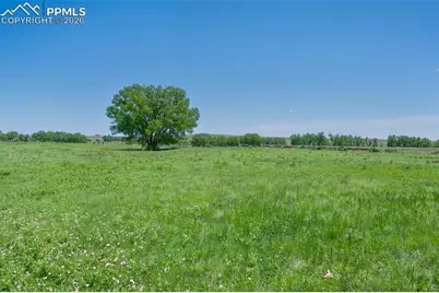 9503 Brisk Breeze Court, Colorado Springs, CO 80925 - Photo 3