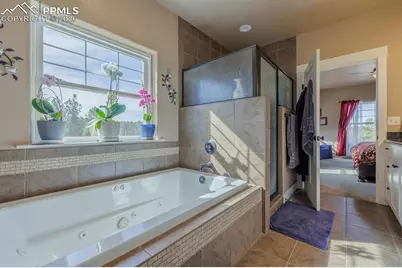 293 Daniwood Grove, Florissant, CO 80816 - Photo 21