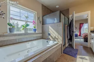 293 Daniwood Grove, Florissant, CO 80816 - Photo 21