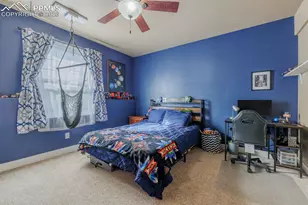 293 Daniwood Grove, Florissant, CO 80816 - Photo 31