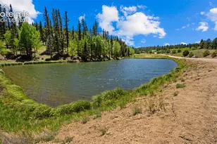 506 Ridge Rd, Divide, CO 80814 - Photo 41