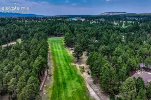 515 Congressional Dr, Monument, CO 80132 - Photo 43