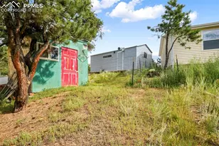 696 Calle De La Nieva, Florissant, CO 80816 - Photo 41