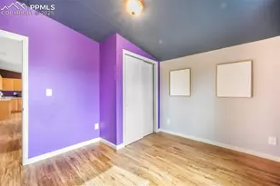 696 Calle De La Nieva, Florissant, CO 80816 - Photo 35