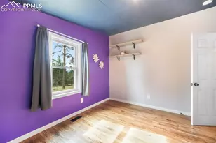 696 Calle De La Nieva, Florissant, CO 80816 - Photo 37