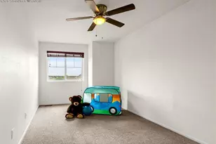 20109 Randolph Pl, Denver, CO 80249 - Photo 13