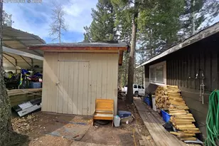 855 Will Stutley Dr, Divide, CO 80814 - Photo 5