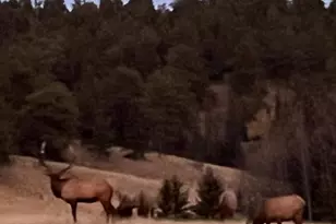 413 W Lake Dr, Divide, CO 80814 - Photo 49