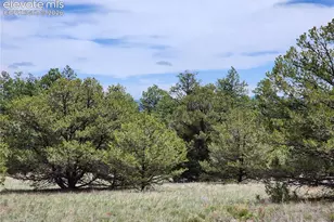 000 7th Trail, Cotopaxi, CO 81223 - Photo 1