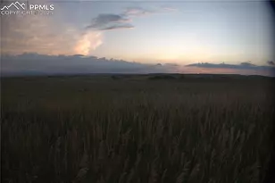 13820 Noah Abel Pt, Calhan, CO 80808 - Photo 41