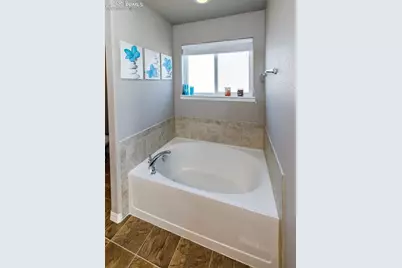 6170 Finglas Drive, Colorado Springs, CO 80923 - Photo 39