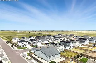 411 Indian Grass St, Calhan, CO 80808 - Photo 43