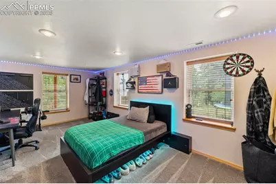 921 Cottonwood Lake Drive, Divide, CO 80814 - Photo 39