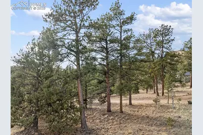 263 Valley Drive, Lake George, CO 80827 - Photo 19