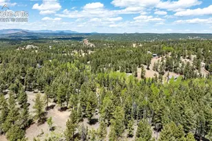 44 Silver Trail, Florissant, CO 80816 - Photo 33