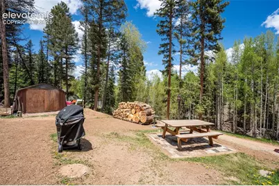 44 Silver Trail, Florissant, CO 80816 - Photo 15