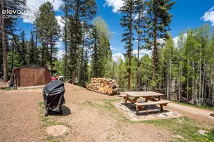 44 Silver Trail, Florissant, CO 80816 - Photo 15