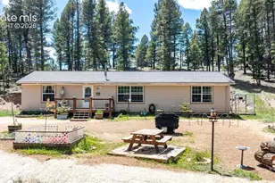 44 Silver Trail, Florissant, CO 80816 - Photo 27