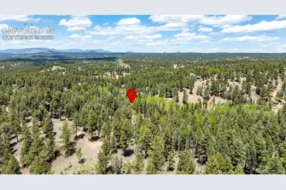 44 Silver Trail, Florissant, CO 80816 - Photo 35